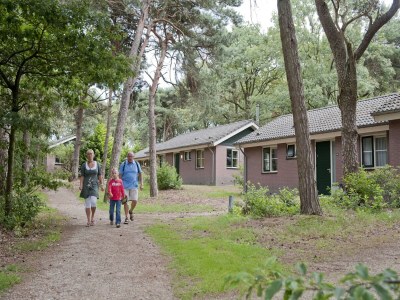 Holiday park Chalet in De Peel near Forest - Environment photo 18