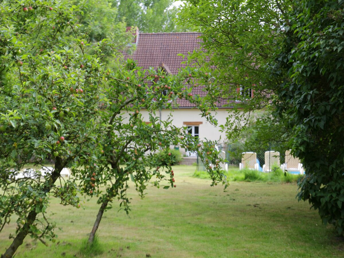Holiday park Ferienhaus in Quend-Plage am Wald - Outdoor photo 5