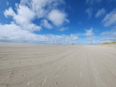 Apartment Ferienwohnung in St. Peter-Ording - Environment photo 16