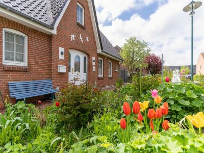 Holiday house Ferienhaus mit Sauna in St.Peter-Ording - Outdoor photo 11