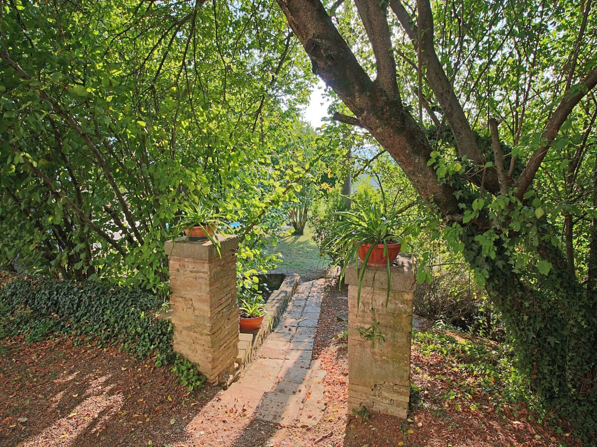 Farmhouse Farmhouse in Umbertide near Golf Club - Outdoor photo 5