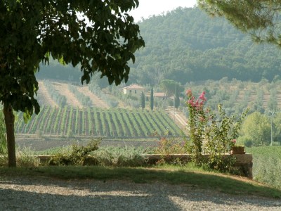 Farmhouse Farmhouse in Umbertide near Golf Club - Outdoor photo 14