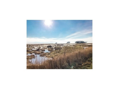 Cottage Landhaus in Vollerwiek - Environment photo 23