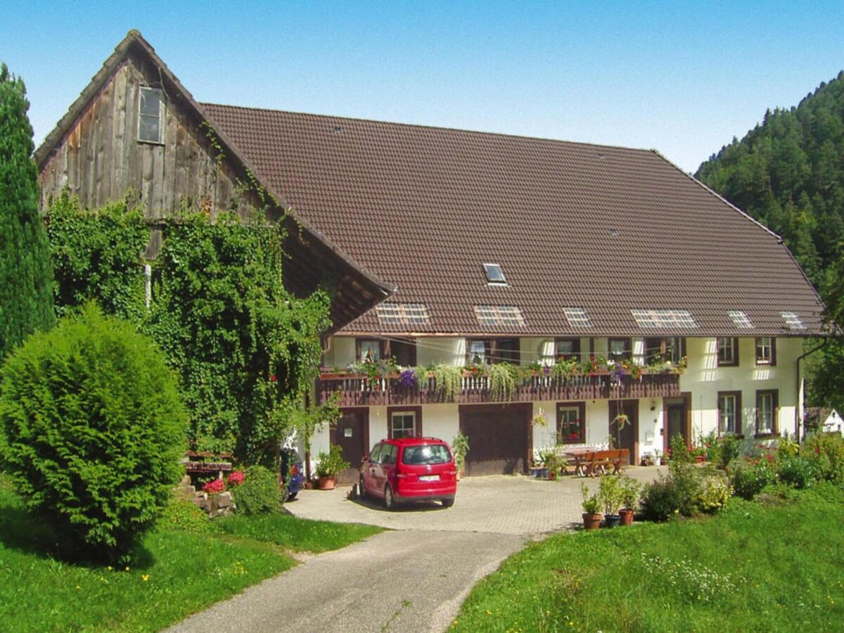 Holiday park Ferienhaus in Hornberg bei Triberg - Outdoor photo 3