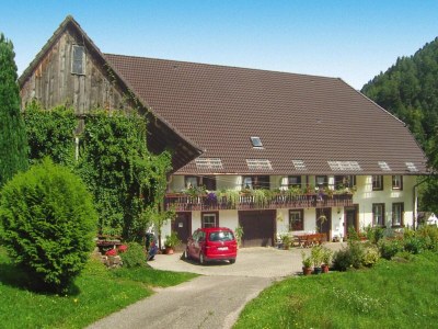 Holiday park Ferienhaus in Hornberg bei Triberg - Outdoor photo 3