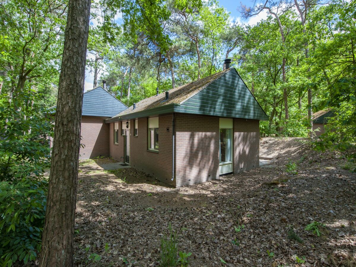 Holiday park Bungalow in De Peel am ruhigen Wald - Outdoor photo 2