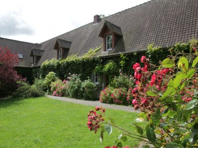 Holiday park Chalet am See mit Pool in Quend-Plage - Features photo 8