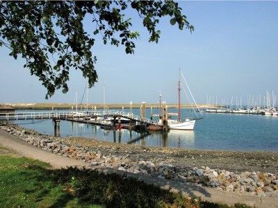 Holiday park Zeeland Escape w/ Garden - Environment photo 15