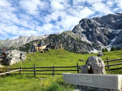 Apartment Chalet in Dienten mit Bergblick - Environment photo 25