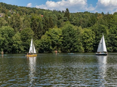 Holiday park Bungalow in Eifelpark near Kronenburger Lake - Environment photo 7