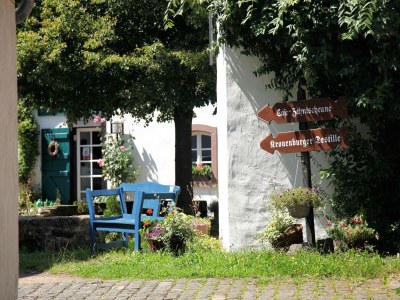 Holiday park Bungalow in Eifelpark near Kronenburger Lake - Outdoor photo 27