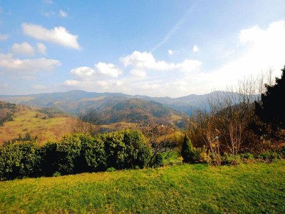 Holiday park Wohnung in Pfaffenberg nahe Skipisten - Environment photo 12