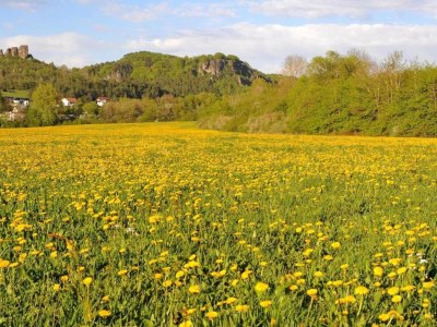 Holiday park Bungalow in der Eifel am Waldrand - Environment photo 16