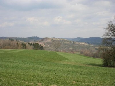 Holiday park Bungalow in der Eifel am Waldrand - Environment photo 21