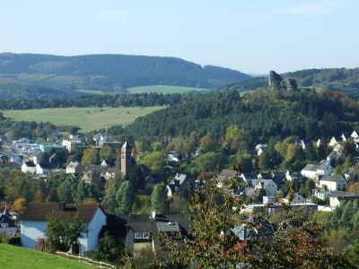 Holiday park Bungalow in der Eifel am Waldrand - Environment photo 24