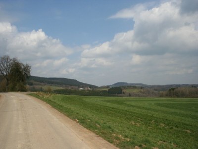Holiday park Bungalow in Eifel near Mountain Trails - Environment photo 12