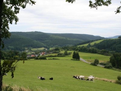 Holiday park Bungalow in Eifel near Mountain Trails - Environment photo 15