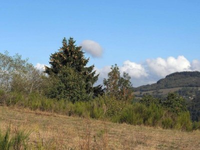 Holiday park Bungalow in Eifel near Mountain Trails - Environment photo 23