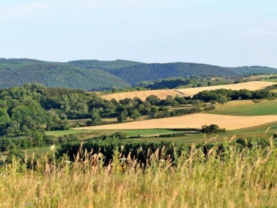 Holiday park Bungalow in Eifel near Mountain Trails - Environment photo 27