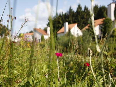 Holiday park Villa in Arcen mit Pool und Familienangeboten - Environment photo 14