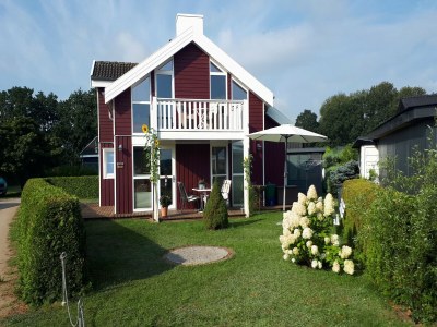 Holiday house Ferienhaus mit Sauna am Dümmer See in Dümmer (Mecklenburg) - Holiday house