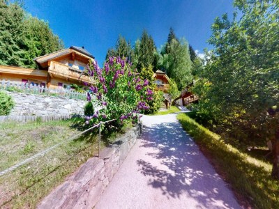 Apartment Chalet in Wildkogel nahe Skipisten - Outdoor photo 6