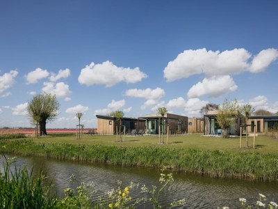 Holiday park Cozy Sustainable Lodge - Environment photo 14