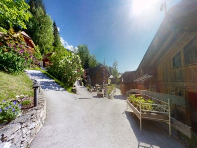 Apartment Chalet in Wildkogel near Ski Slopes - Outdoor photo 4