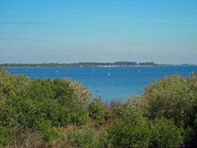 Holiday park Villa in Zeeland near Dunes - Environment photo 8