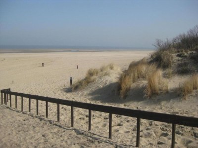 Holiday park Villa in Zeeland near Dunes - Environment photo 17
