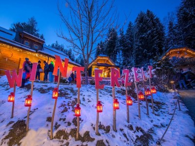 Chalet Chalet in Wildkogel near Ski Slopes & Pool - Environment photo 22