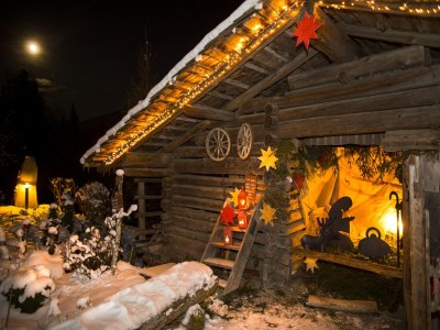 Chalet Chalet in Wildkogel near Ski Slopes & Pool - Outdoor photo 24