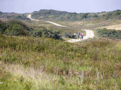 Holiday park Dünenvilla in den Niederlanden am Meer - Outdoor photo 2