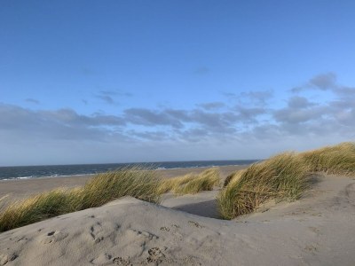 Holiday park Dünenvilla in den Niederlanden am Meer - Environment photo 27