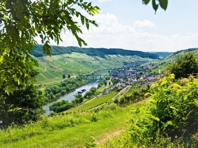 Holiday park Strahlende Villa, in der Nähe der Mosel - Environment photo 19