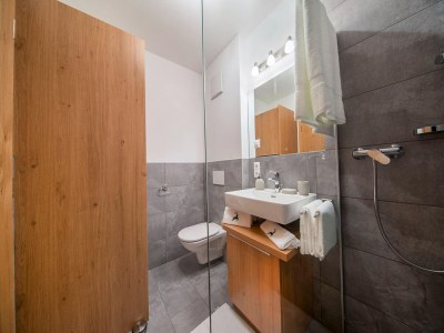 Holiday park Apartment in Neukirchen by Wildkogelbahn - Features photo 16