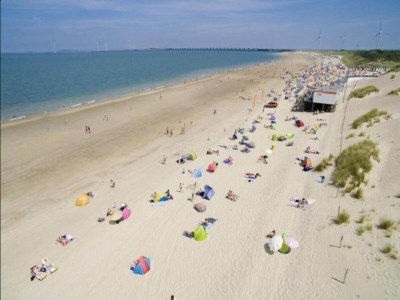 Holiday park Villa in Niederlande mit privater Sauna - Environment photo 28