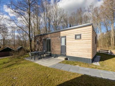 Holiday park Modern Chalet Near Forest - Holiday park
