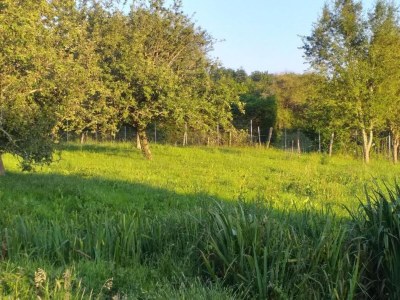 Holiday park Ferienhaus in Roussines mit Privatpool - Environment photo 29