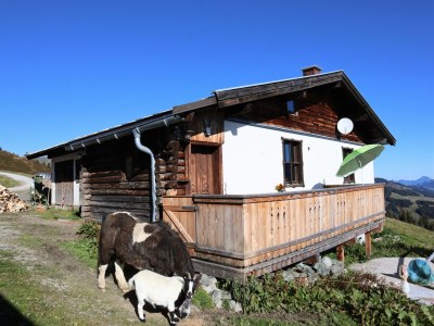 Holiday house Hütte in Brixental am Skilift - Outdoor photo 5