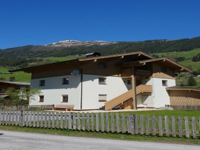 Apartment Apartment in Wald near Krimml Waterfalls - Outdoor photo 5