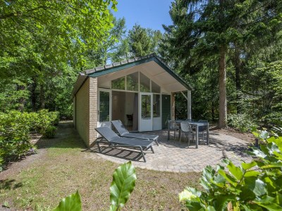 Holiday park Designer Chalet in the Veluwe - Holiday park