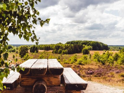 Holiday park Designer Chalet in the Veluwe - Environment photo 11