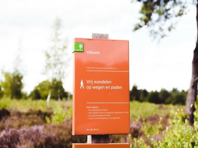 Holiday park Designer Chalet in the Veluwe - Environment photo 20