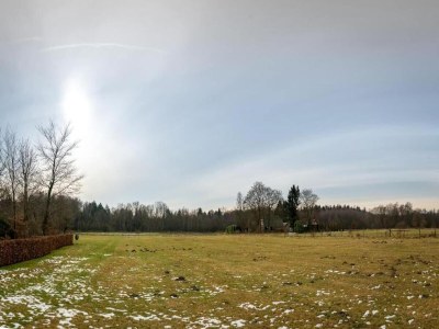Holiday park Designer Chalet in the Veluwe - Environment photo 23