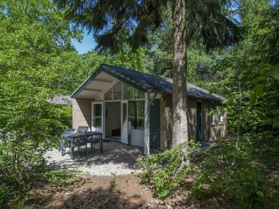 Holiday park Designer Chalet in the Veluwe - Outdoor photo 28