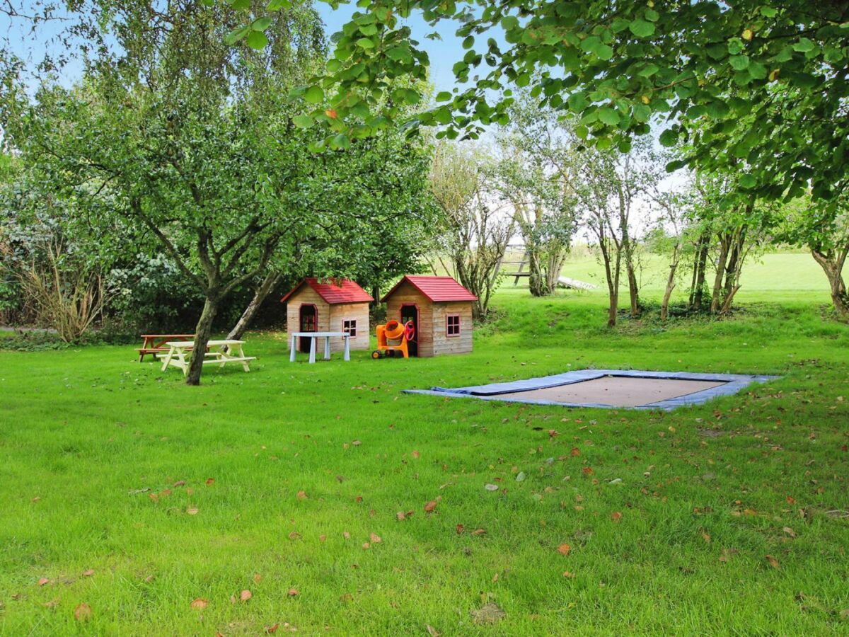 Holiday house Ferienhaus Sonnentau im Mueritz Nationalpark - Outdoor photo 5