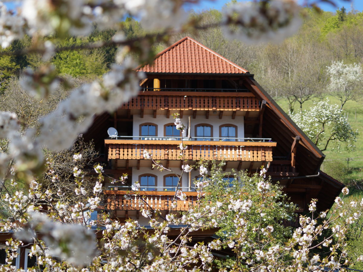 Holiday apartment At the Ehrenmättlehof