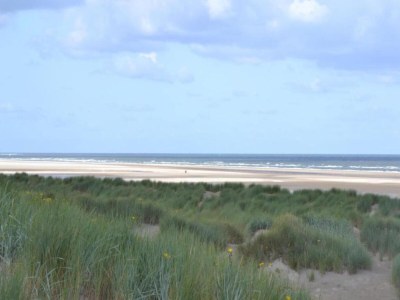 Holiday park Tiny House in Zeeland near Nieuwvliet Beach - Environment photo 23