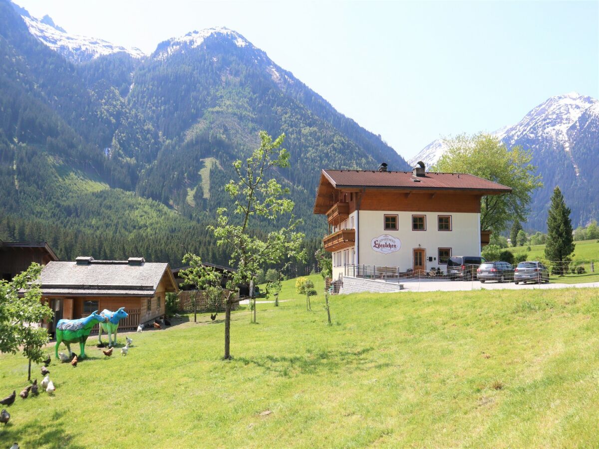 Apartment Appartment Plattenkogel in Krimml - Outdoor photo 4